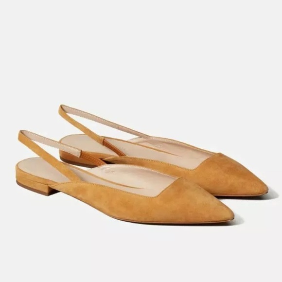 Everlane Shoes - Everlane The Editor Suede Slingback Flats Size 9.5